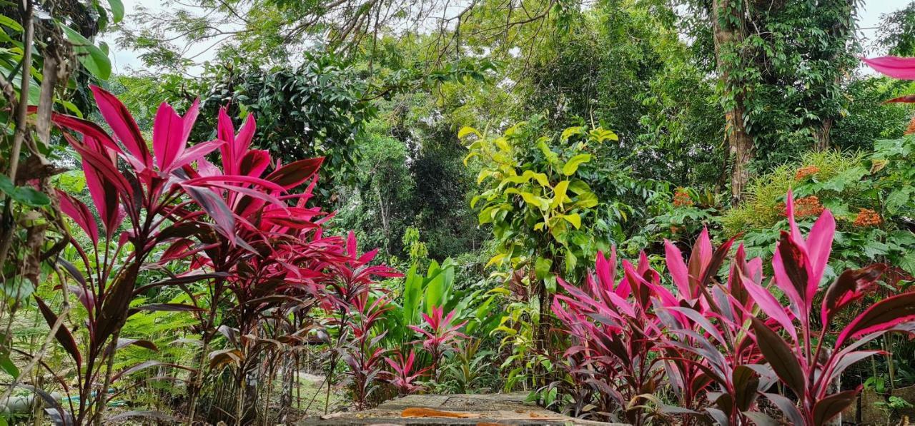 Отель Wooden Hut Koh Kood Ko Kut Экстерьер фото